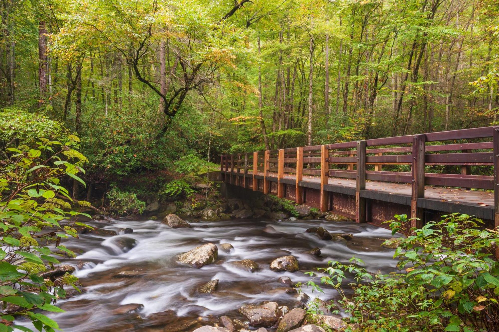 Ober Hideaway, Hot Tub, Wifi, 1089 Free Tickets Each Paid Day, Dollywood And More 蓋特林堡 外观 照片